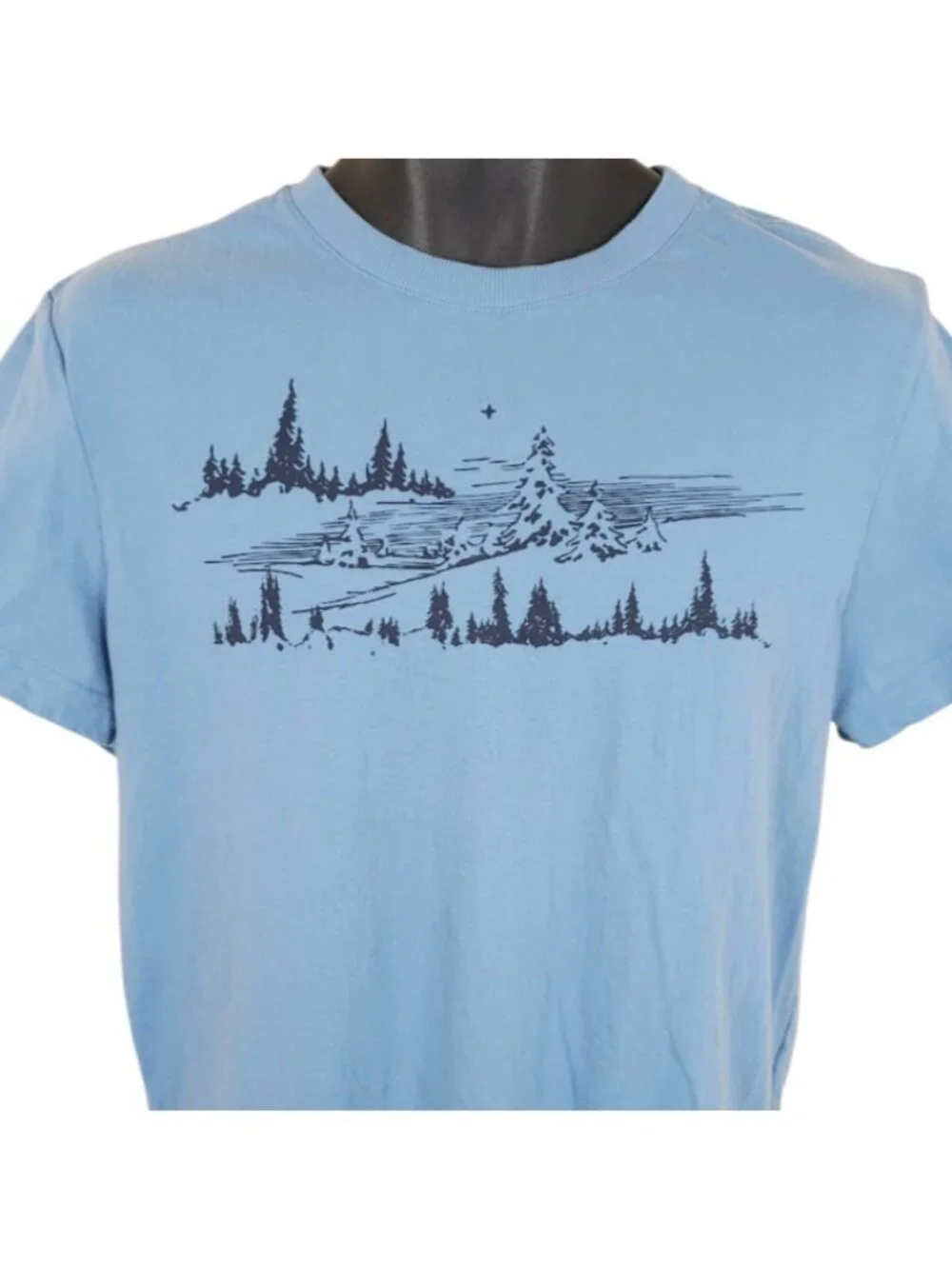 Snowy Mountain T Shirt Mens Size Medium Blue Outdoors Nature Tee